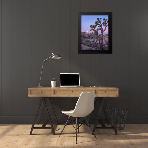 Joshua Tree at Joshua Tree National Park Black Modern Wood Framed Art Print by Fitzharris, Tim