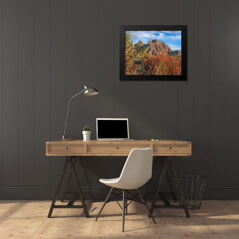 Chuparosa and Indian Head Mountain Black Modern Wood Framed Art Print by Fitzharris, Tim