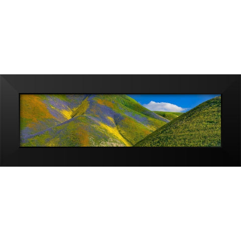 Spring Bloom on Temblor Range Black Modern Wood Framed Art Print by Fitzharris, Tim