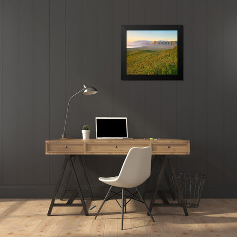 Sunrise at Soda Lake Black Modern Wood Framed Art Print by Fitzharris, Tim