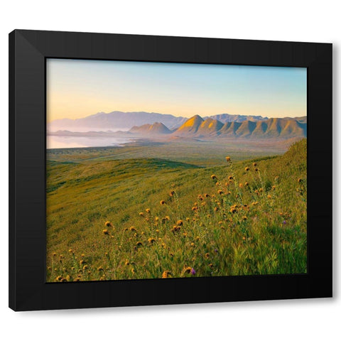 Sunrise at Soda Lake Black Modern Wood Framed Art Print with Double Matting by Fitzharris, Tim