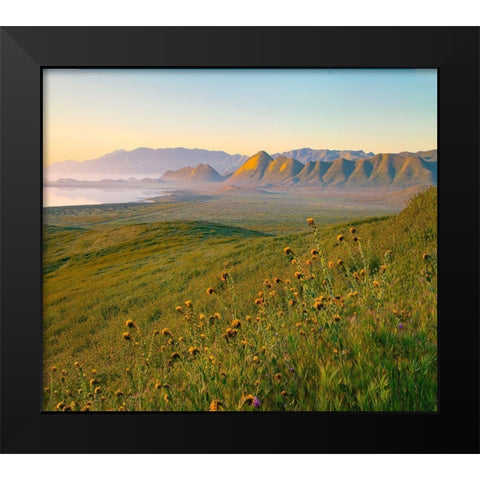 Sunrise at Soda Lake Black Modern Wood Framed Art Print by Fitzharris, Tim