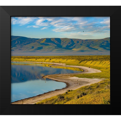 Soda Lake-Carrizo Plain National Monument Black Modern Wood Framed Art Print by Fitzharris, Tim