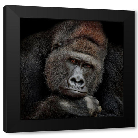 ONE MOMENT IN CONTACT Black Modern Wood Framed Art Print by Wenner-Braun, Antje