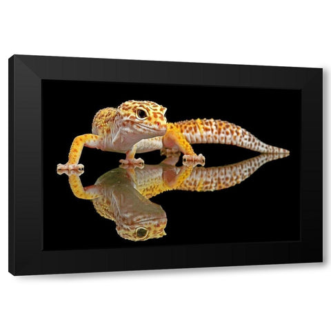 Leopard Gecko Black Modern Wood Framed Art Print by Oesin, Dikky