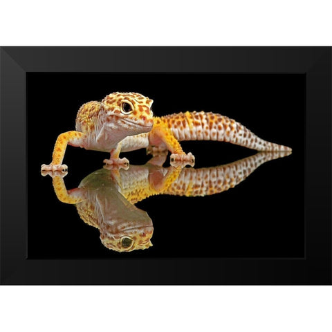 Leopard Gecko Black Modern Wood Framed Art Print by Oesin, Dikky