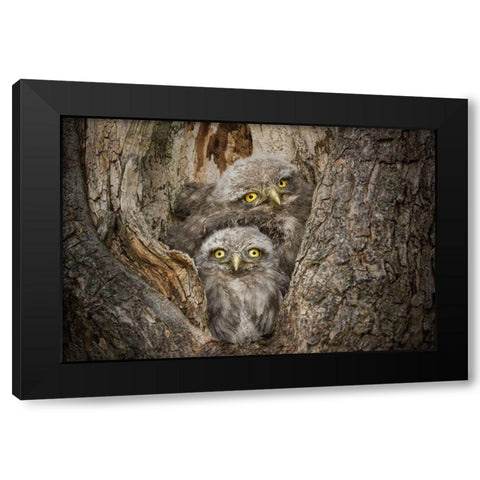 Civ and Civ Black Modern Wood Framed Art Print by Ghizzi Panizza, Alberto