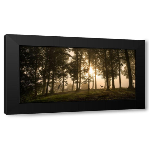 Deer in the morning mist. Black Modern Wood Framed Art Print by Londal, Leif