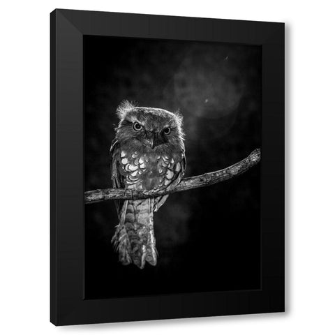 Alone in the night Black Modern Wood Framed Art Print with Double Matting by Wilianto