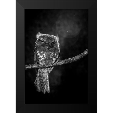 Alone in the night Black Modern Wood Framed Art Print by Wilianto