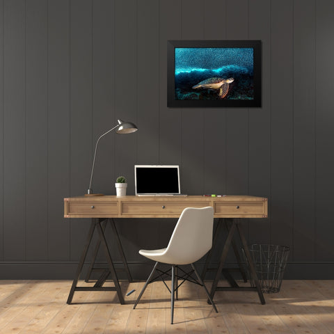 Turtle and Sardines Black Modern Wood Framed Art Print by Jager, Henry