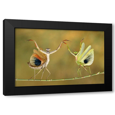 Show Time Black Modern Wood Framed Art Print with Double Matting by Baglar, Hasan