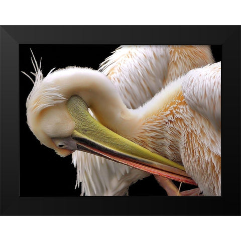 Toileting... Black Modern Wood Framed Art Print by Dufour, Thierry