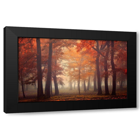 Feel Black Modern Wood Framed Art Print with Double Matting by Neer, Ildiko