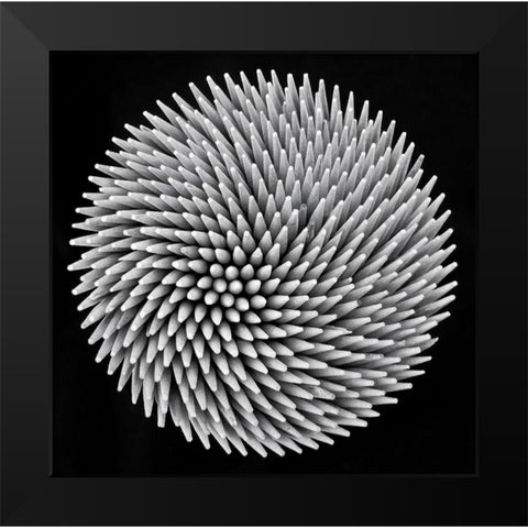 hypnosis Black Modern Wood Framed Art Print by Toniolo, Giorgio