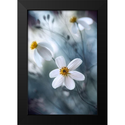 Cosmos Black Modern Wood Framed Art Print by Disher, Mandy