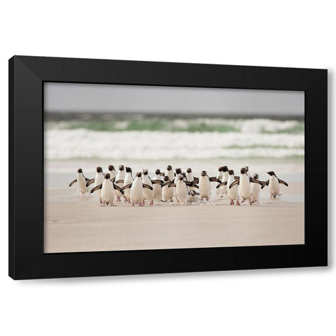 Desembarco Black Modern Wood Framed Art Print with Double Matting by Gil Raga, Joan