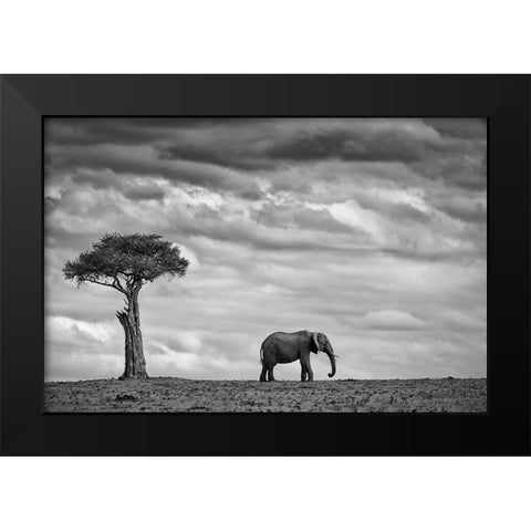 Elephant Landscape Black Modern Wood Framed Art Print by Moreno, Mario