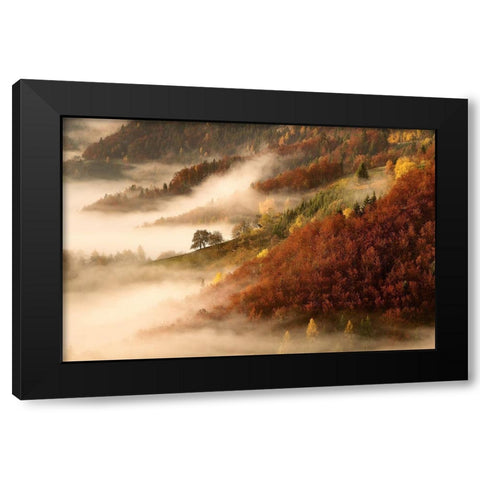 Novembers fog Black Modern Wood Framed Art Print by Bor