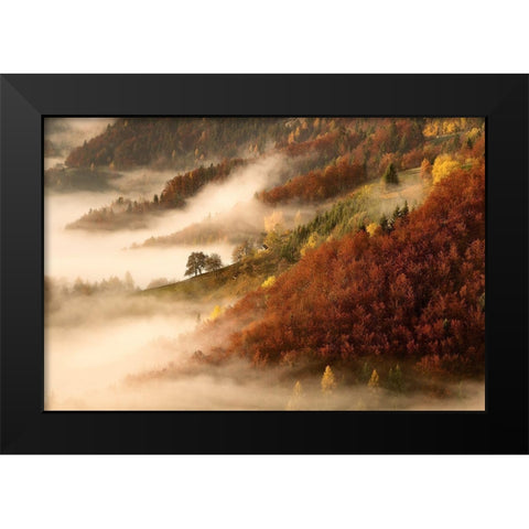 Novembers fog Black Modern Wood Framed Art Print by Bor