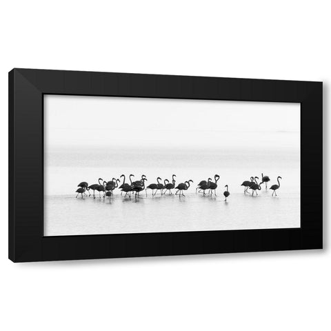 Flamingos Black Modern Wood Framed Art Print with Double Matting by Gil Raga, Joan