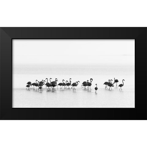 Flamingos Black Modern Wood Framed Art Print by Gil Raga, Joan