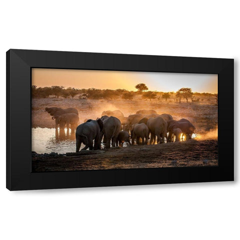 Elephant huddle Black Modern Wood Framed Art Print with Double Matting by Van Ooijen, Simon