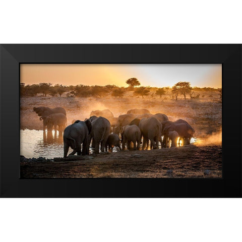 Elephant huddle Black Modern Wood Framed Art Print by Van Ooijen, Simon