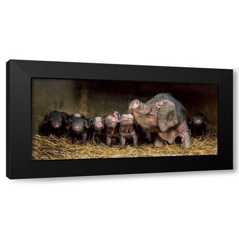 The wrinkled ones Black Modern Wood Framed Art Print by Van Den, Gert