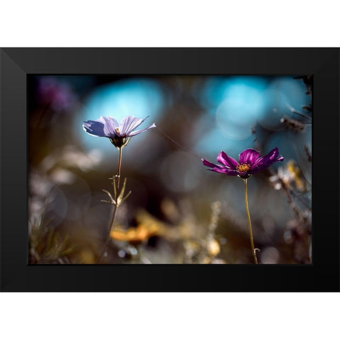 Le lien Black Modern Wood Framed Art Print by Bravin, Fabien