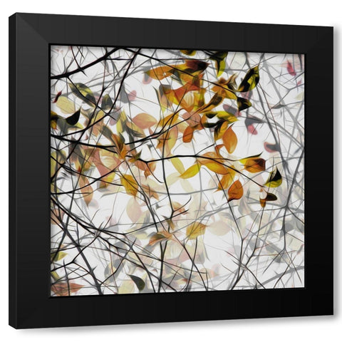 autumn song Black Modern Wood Framed Art Print with Double Matting by Claes, Gilbert