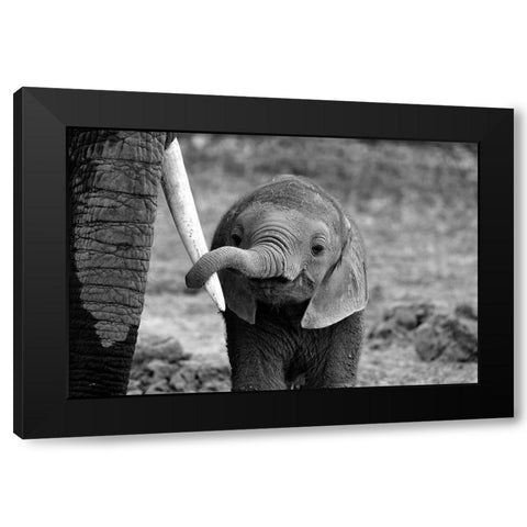 Close Black Modern Wood Framed Art Print with Double Matting by Alicke, Bjoern