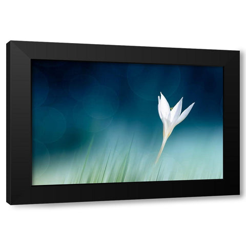 Lonely Black Modern Wood Framed Art Print with Double Matting by Reindl, Doris