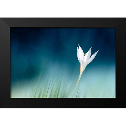 Lonely Black Modern Wood Framed Art Print by Reindl, Doris