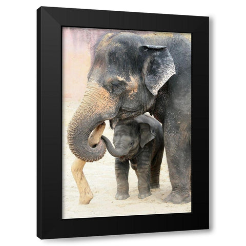 TWO Black Modern Wood Framed Art Print by Wenner-Braun, Antje