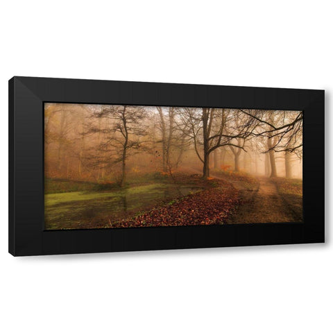 Which Path II Black Modern Wood Framed Art Print by Londal, Leif