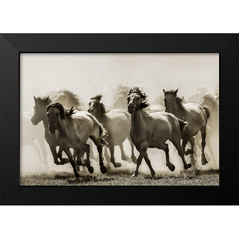 Horse Black Modern Wood Framed Art Print by Bartsch, Heidi