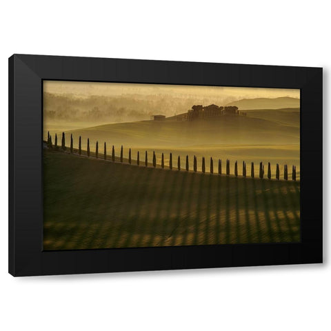 Cypress shadows Black Modern Wood Framed Art Print by Pawlak, Jarek