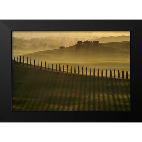 Cypress shadows Black Modern Wood Framed Art Print by Pawlak, Jarek