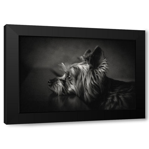 I have been waiting for you ... Black Modern Wood Framed Art Print by Lacz, Krisztina