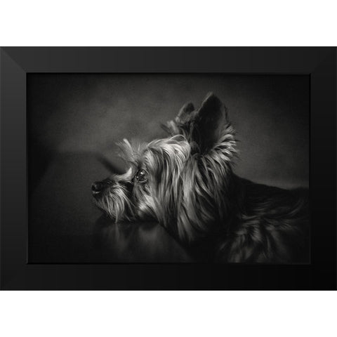 I have been waiting for you ... Black Modern Wood Framed Art Print by Lacz, Krisztina