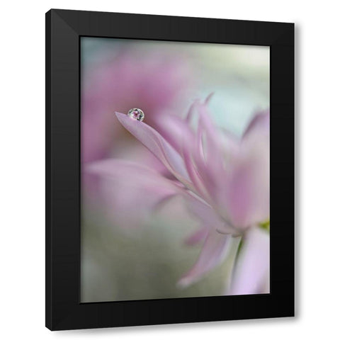 In pink delight Black Modern Wood Framed Art Print with Double Matting by Westum, Heidi