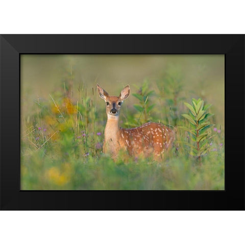 Fragrance of Summer Black Modern Wood Framed Art Print by Kalathas, Nick