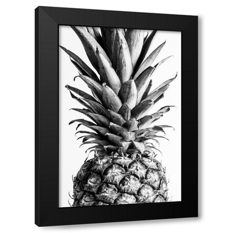 Pinapple Black a White 03 Black Modern Wood Framed Art Print with Double Matting by Artographie Studio