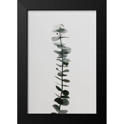 Eucalyptus Natural 02 Black Modern Wood Framed Art Print by Artographie Studio