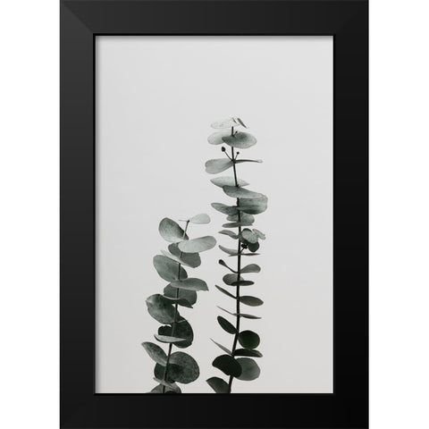 Eucalyptus Natural 03 Black Modern Wood Framed Art Print by Artographie Studio