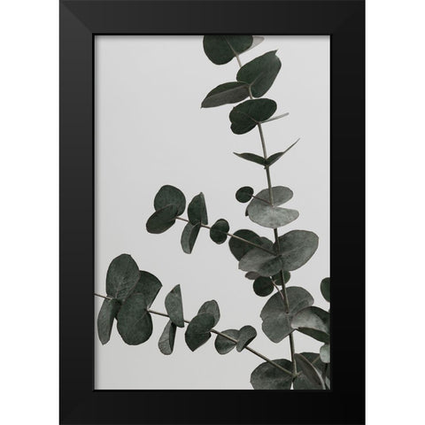 Eucalyptus Natural 05 Black Modern Wood Framed Art Print by Artographie Studio