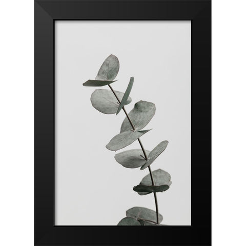 Eucalyptus Natural 06 Black Modern Wood Framed Art Print by Artographie Studio