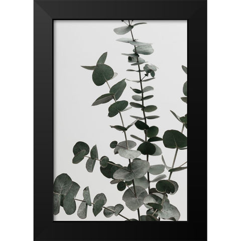 Eucalyptus Natural 07 Black Modern Wood Framed Art Print by Artographie Studio