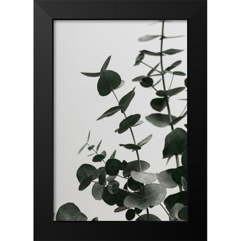 Eucalyptus Natural 08 Black Modern Wood Framed Art Print by Artographie Studio